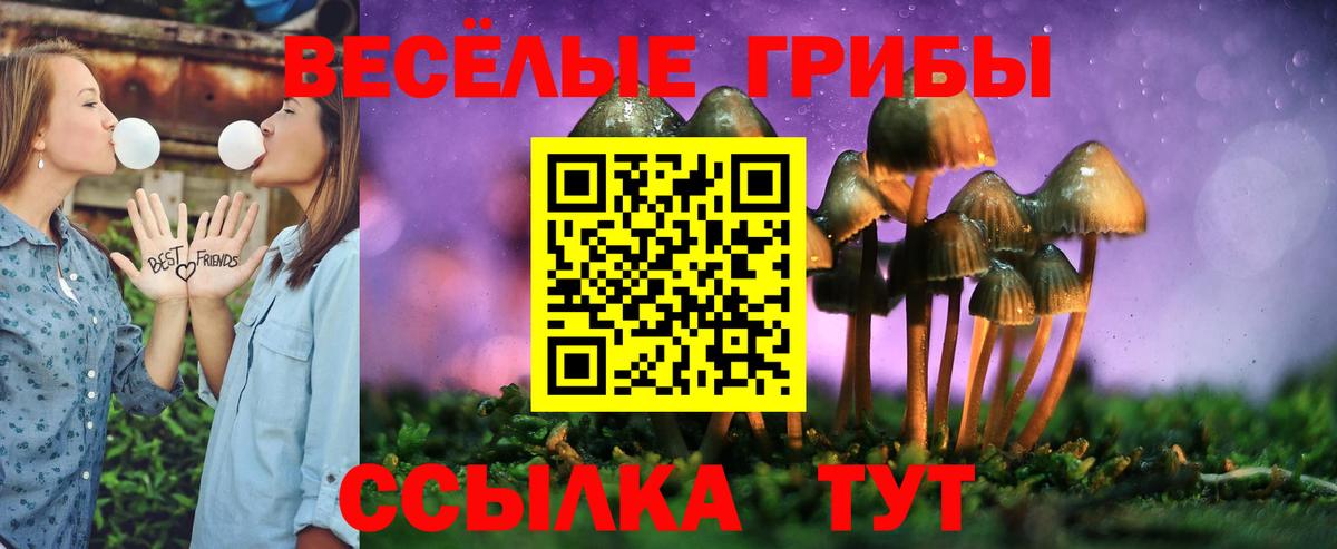 Галлюциногенные грибы GOLDEN TEACHER Прокопьевск