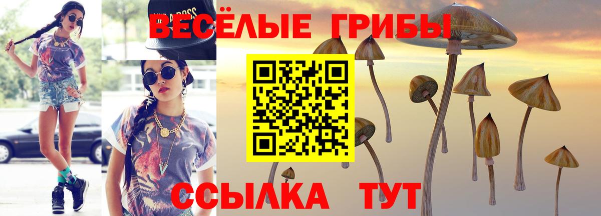 Прокопьевск  Псилоцибиновые грибы Psilocybine cubensis  Вход с VPN 